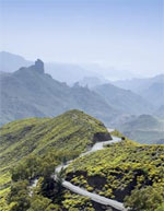 Package Holidays