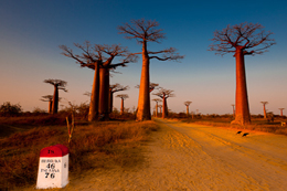 Tour Image
