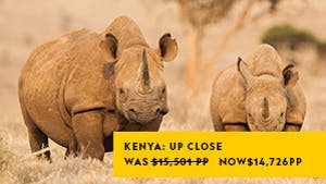 Nat Geo Kenya: Up Close with Elephants, Rhinos and Big Cats