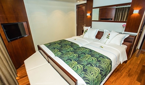 Upper deck 2 beds