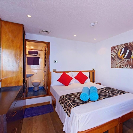 Standard Cabin - A Deck