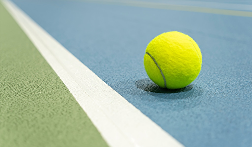 Paddle Tennis Court
