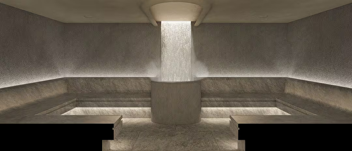 STEAM ROOM