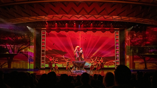 Entertainment 