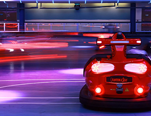 Bumper Cars