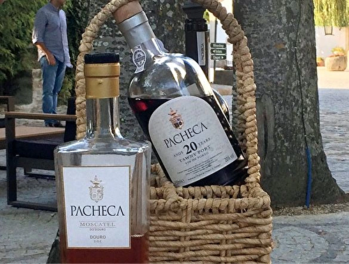 Dining experience at Quinta de Pacheca wine estate