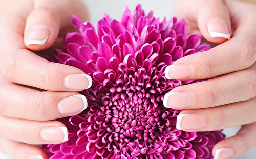 Beauty salon