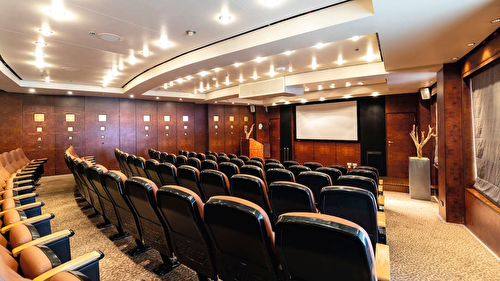 The Cinema