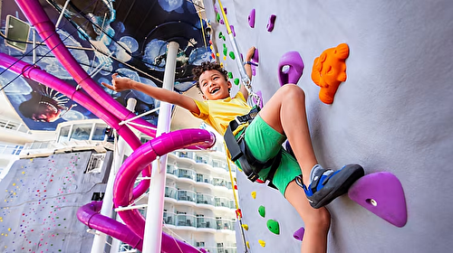 Rock Climbing Wall