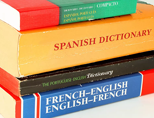 Learn a Language