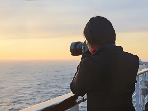 Professional Photographer​