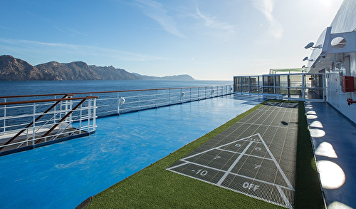 Shuffleboard