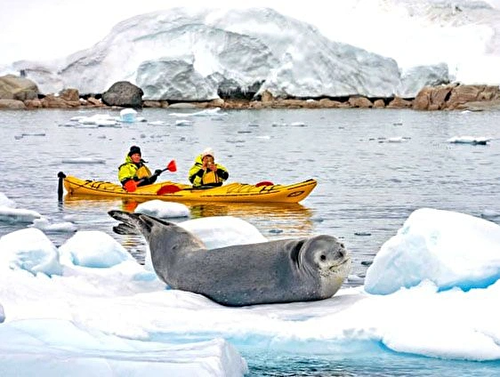 Scenic Discovery – Antarctica
