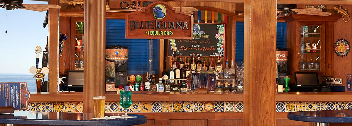 blue-iguana-bar-3