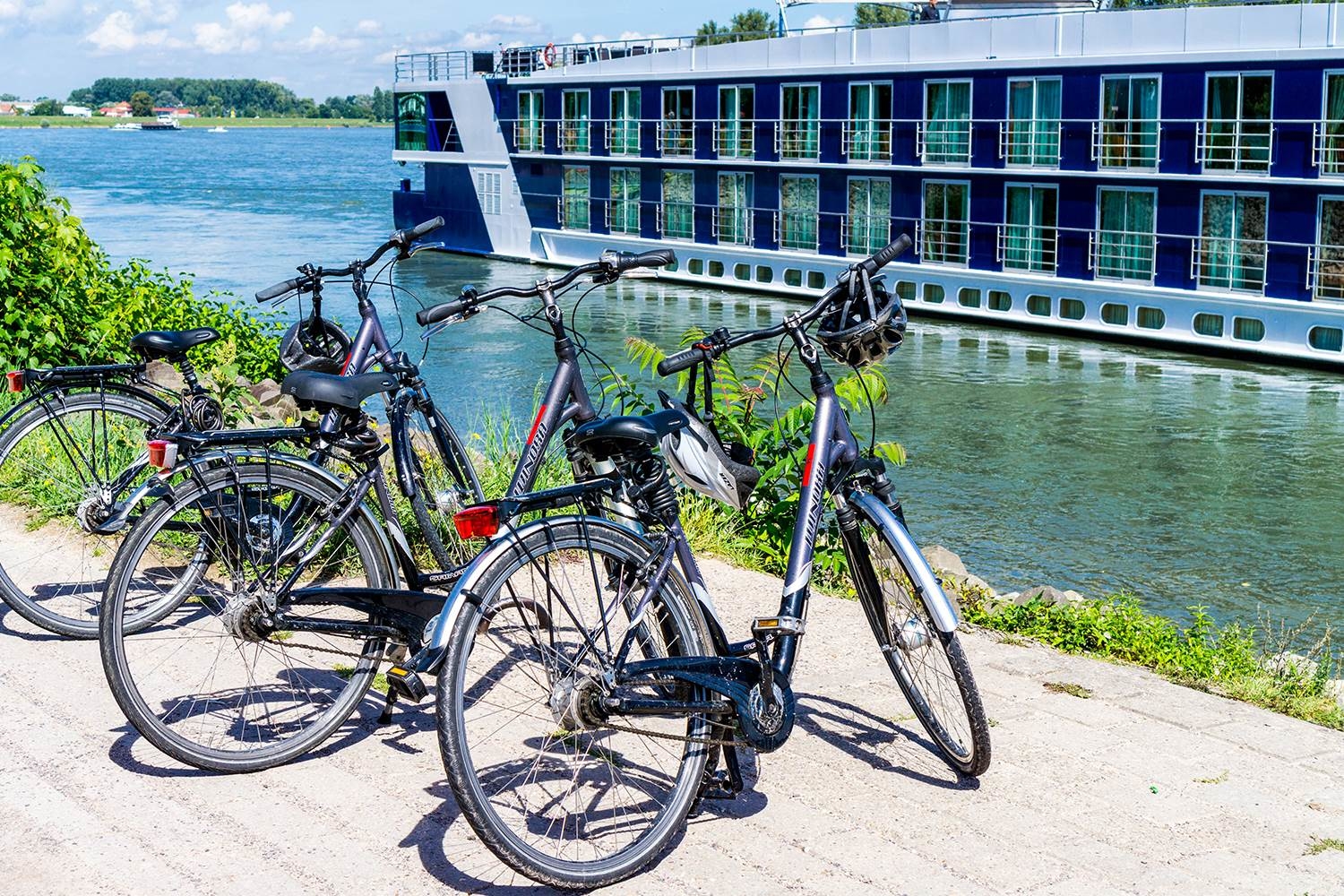 Guests sightseeing by bicycle along vineyard-lined paths in the Bordeaux wine region