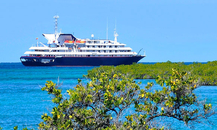 Silver Galapagos