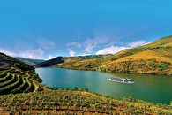 Cruise ship image