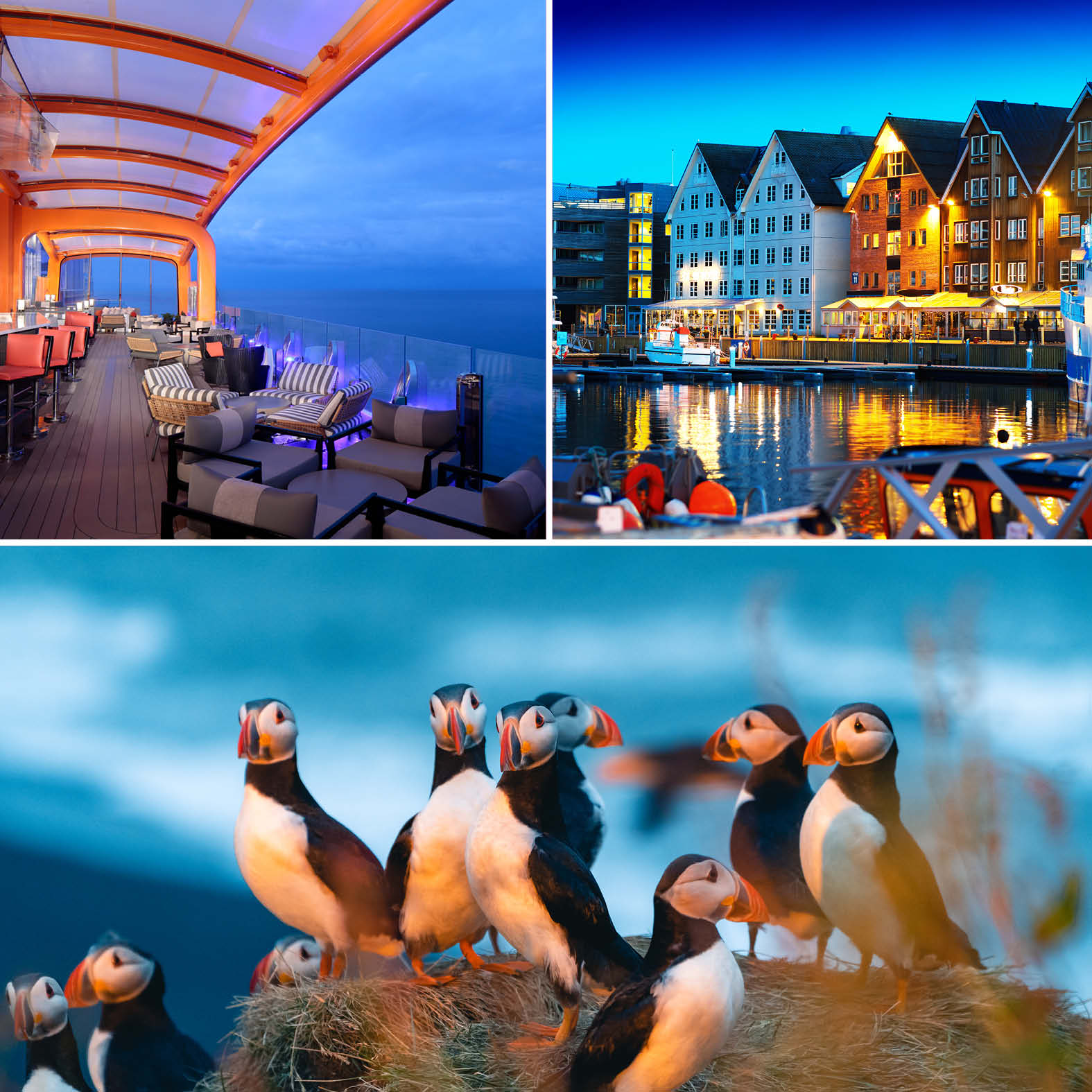 Celebrity Apex Arctic Circle Cruise
