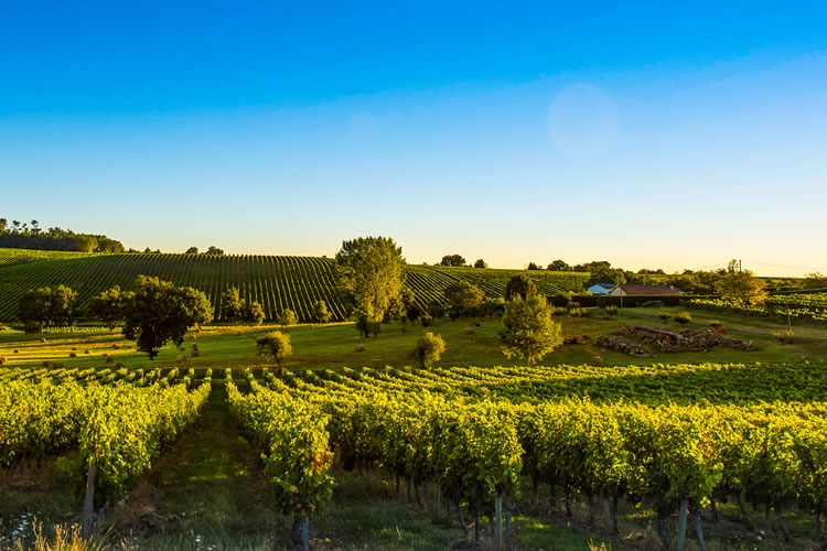 Bordeaux