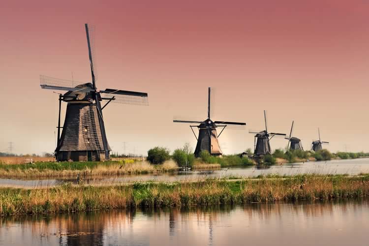 Riviera Travel Amsterdam, Kinderdijk & the Dutch Bulbfields Cruise