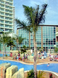 Hotel Flamingo Oasis