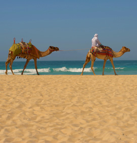 Excursions & things to do in Tunisia