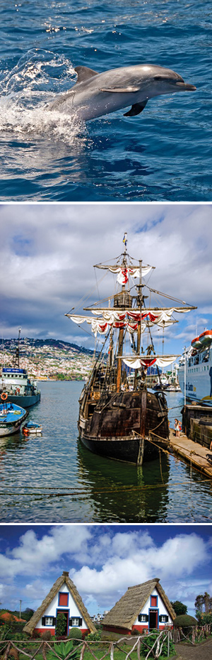 Excursions and things to do in Madeira...