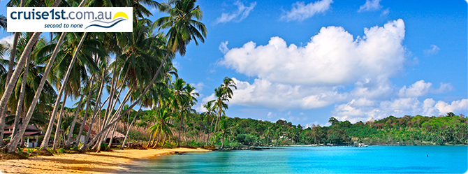 Beach with palm fronds and trees