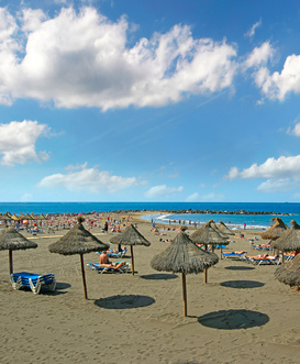 Holidays to Playa de las Americas