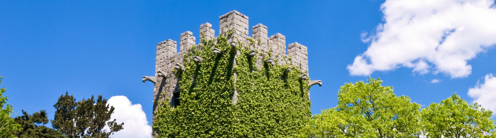 Sipan Island Holidays