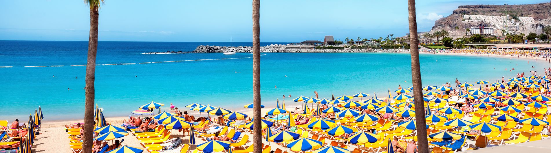 Gran Canaria Holidays 2024 / 2025  Cyplon Holidays