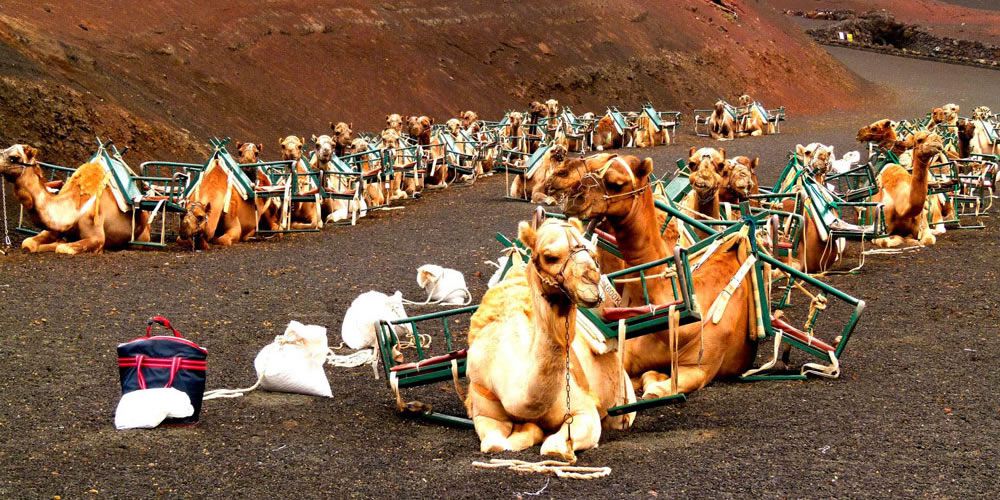 Timanfaya National Park