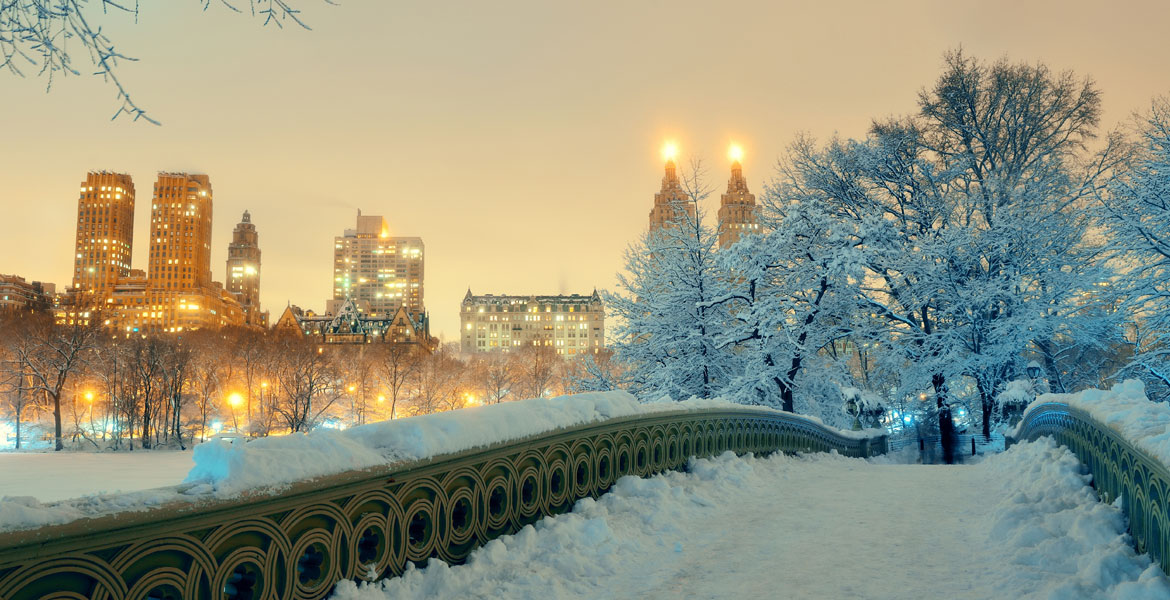 New York in Winter New York in Winter Image
