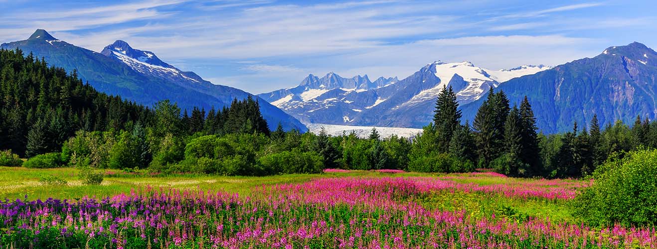 Ice capped mountains with greenery in foreground