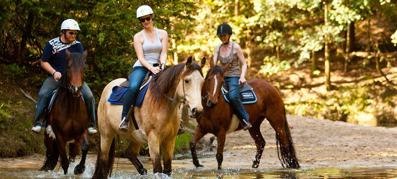 Horse Riding, Eagle Mountain Ranch