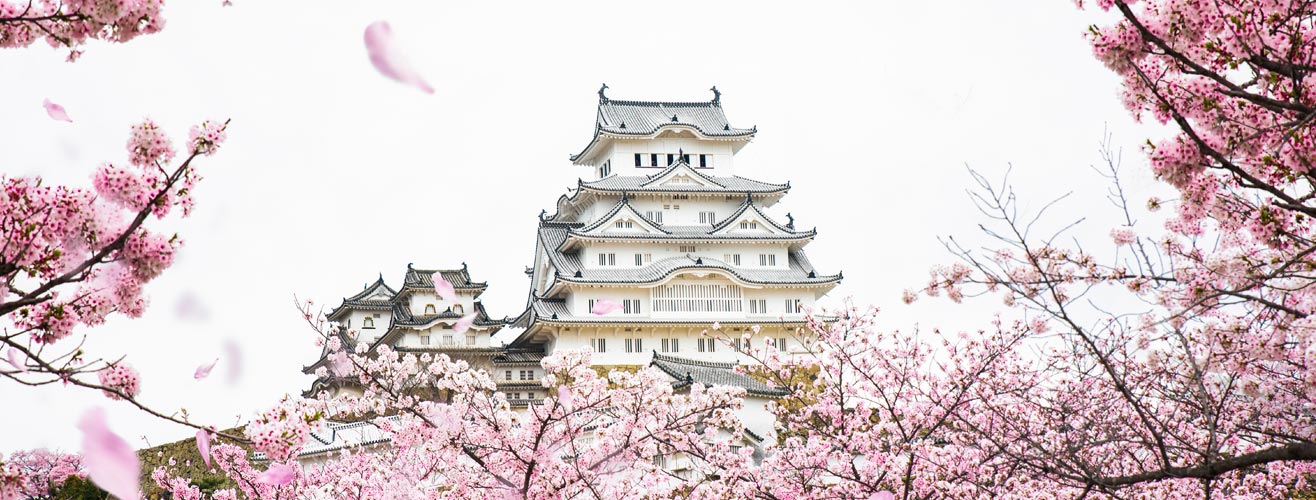 Cruise1st Australia Cruise Deals