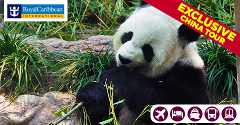 9-NIGHT CHINA TOUR WITH CRUISE TO JAPAN