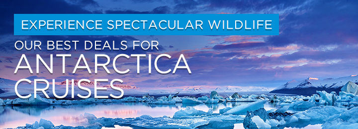 Cruise1st Antarctica Cruises