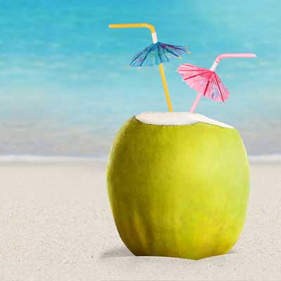 Cafe Sol Mexican Grill & Margarita Bar