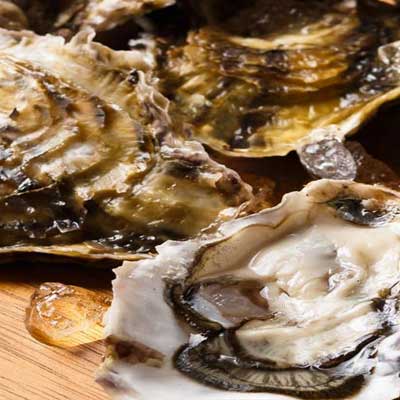 Wild Sea Oyster Bar & Grille