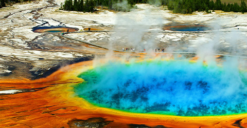 YELLOWSTONE & THE CANADIAN ROCKIES