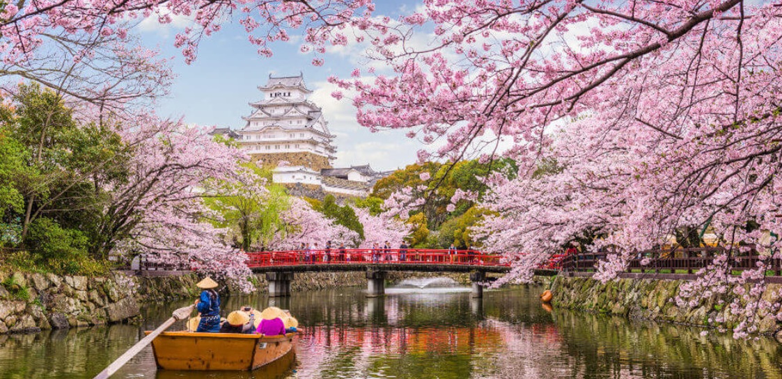 The best of japan
