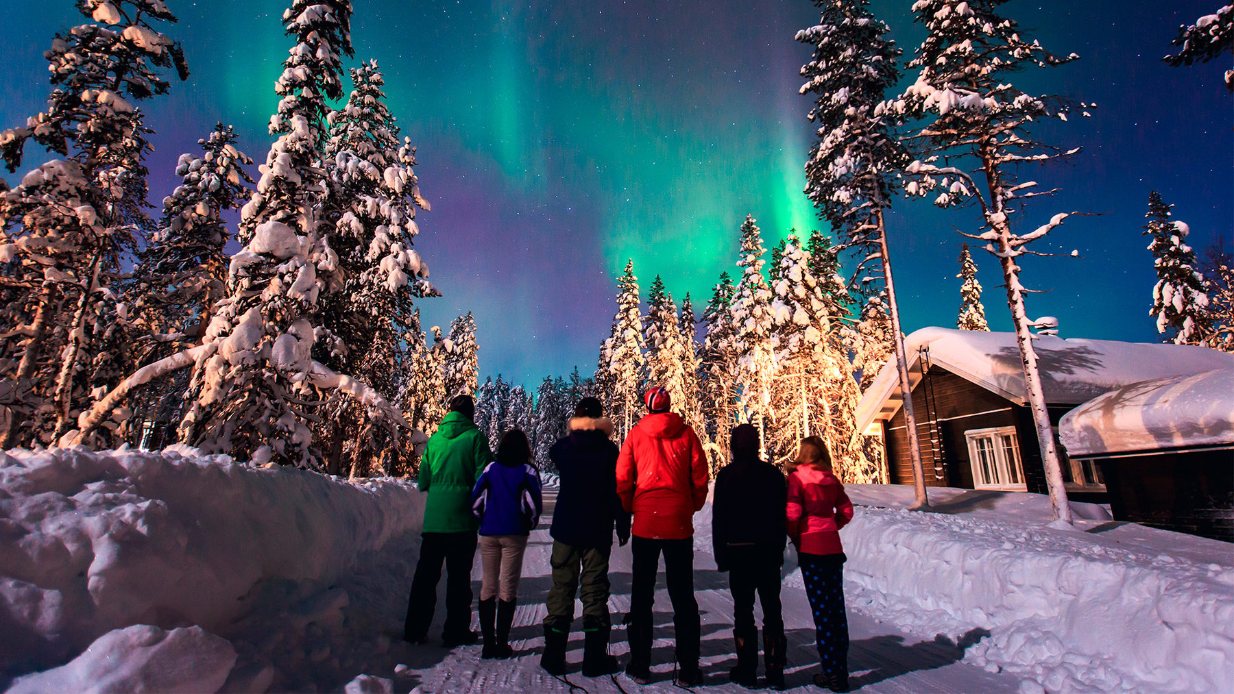 Northern Lights Cruise Holidays and Deals Cruise Nation
