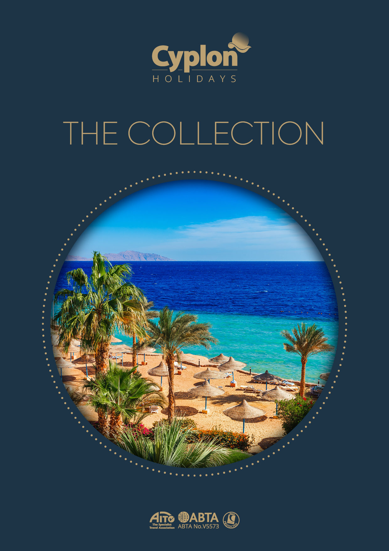 The Collection -  - 
