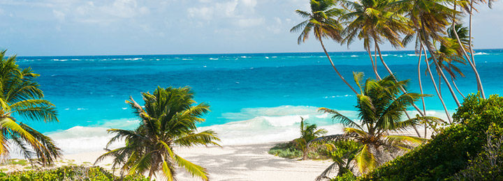 sunny Barbados beach shore