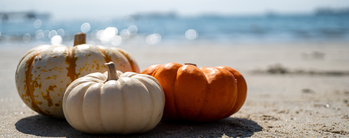pumpkins on a sunny beach