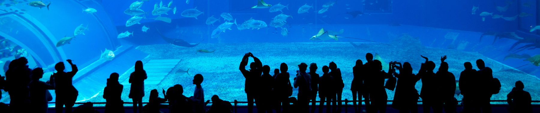 United Arab Emirates Holidays