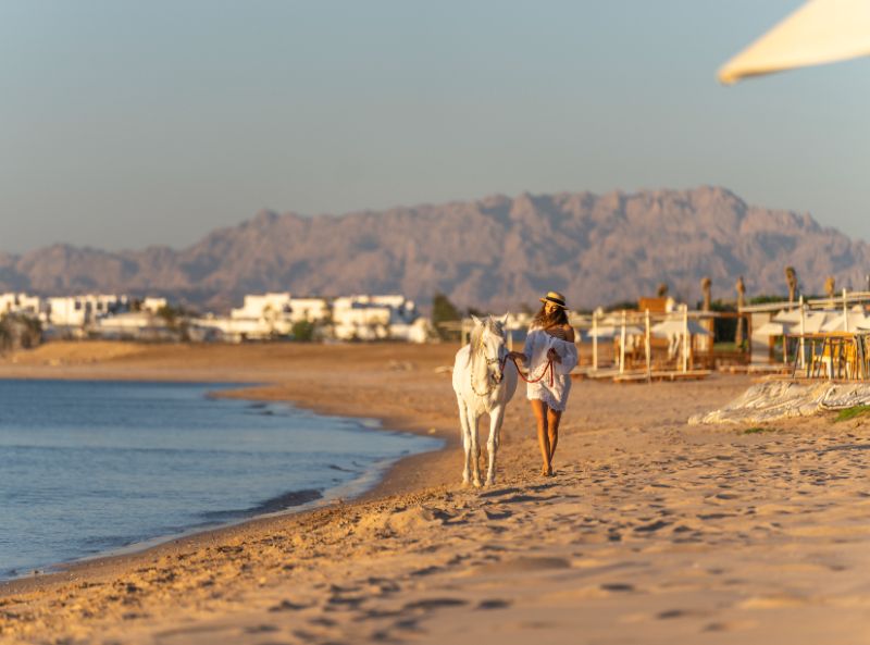 Rixos Premium Magawish Suites & Villas, Egypt