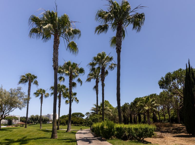 Domes Lake Algarve, Portugal